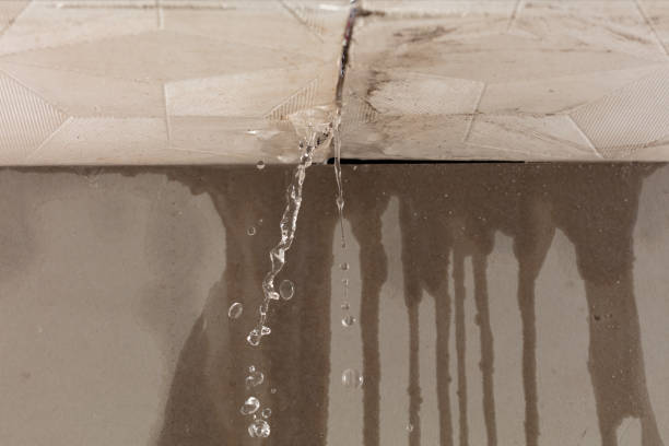 Professional Sewage Cleanup technician working in Lakewood, IL